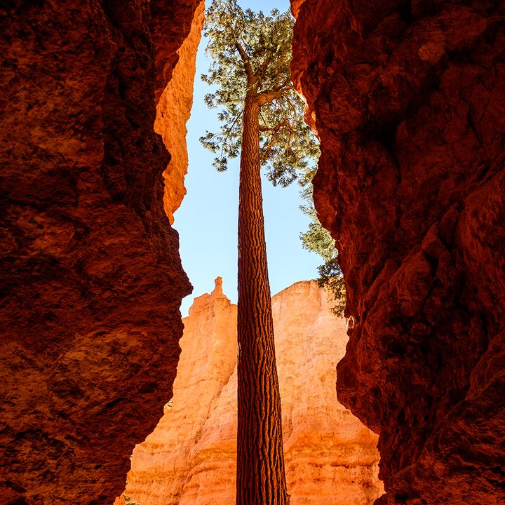 photographer jonathan irish national parks interview bryce canyon np fujifilm 2
