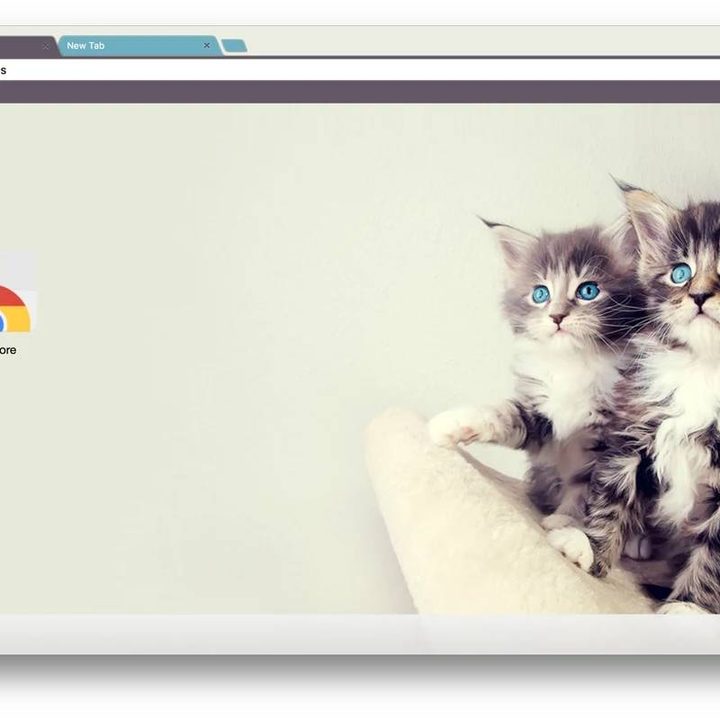 Kittens Chrome theme.