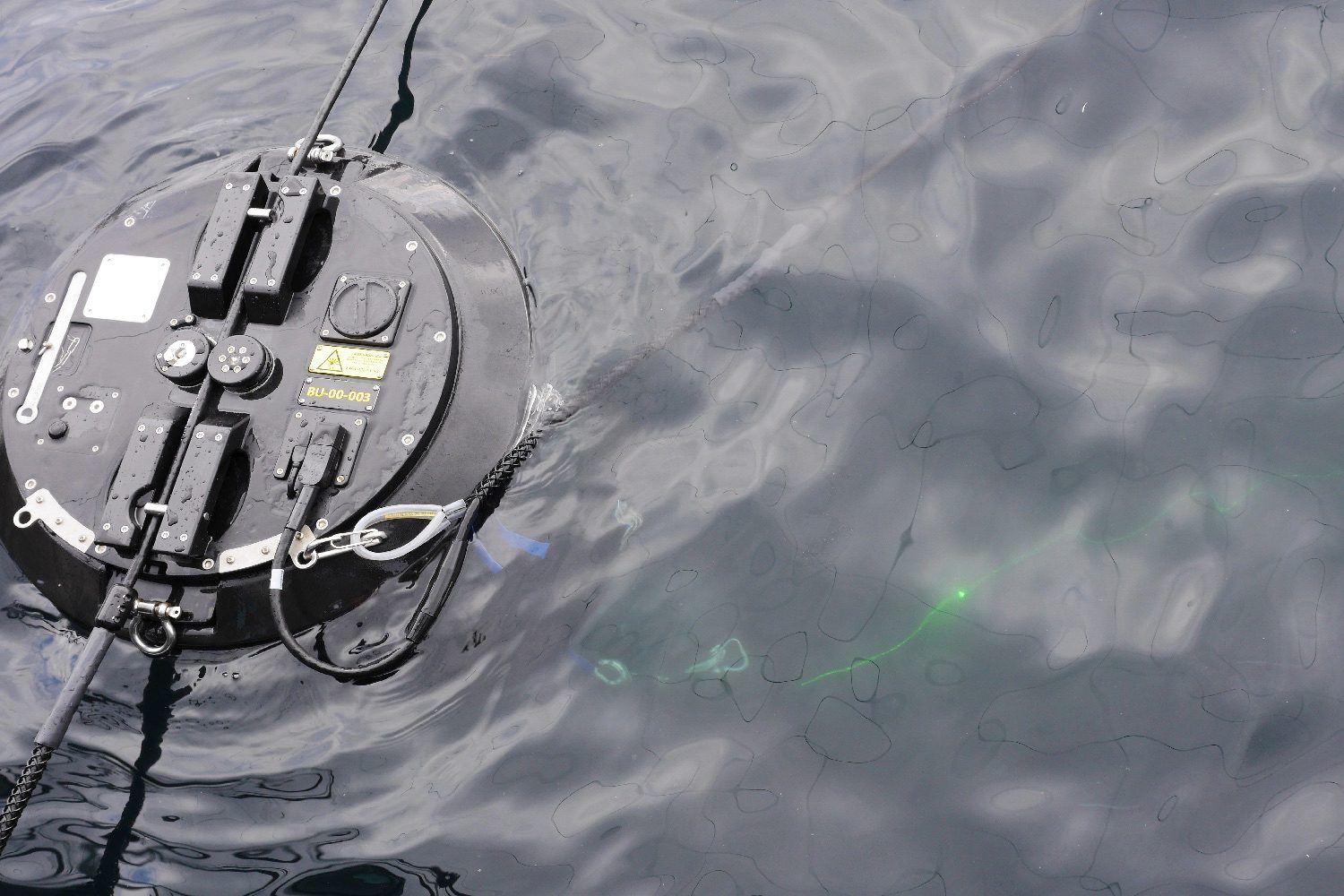 laser salmon norway stingraybuoy