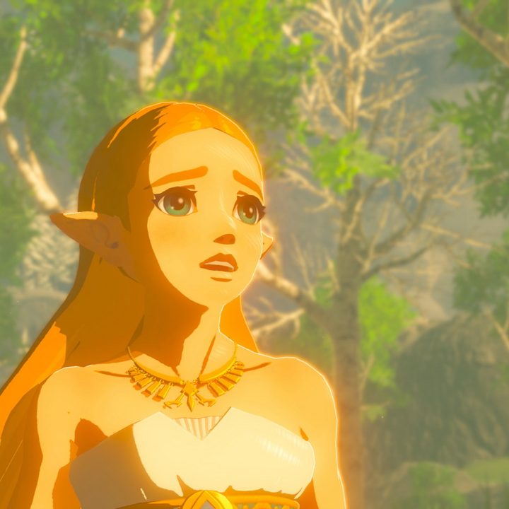 The Legend of Zelda Breath of the Wild review