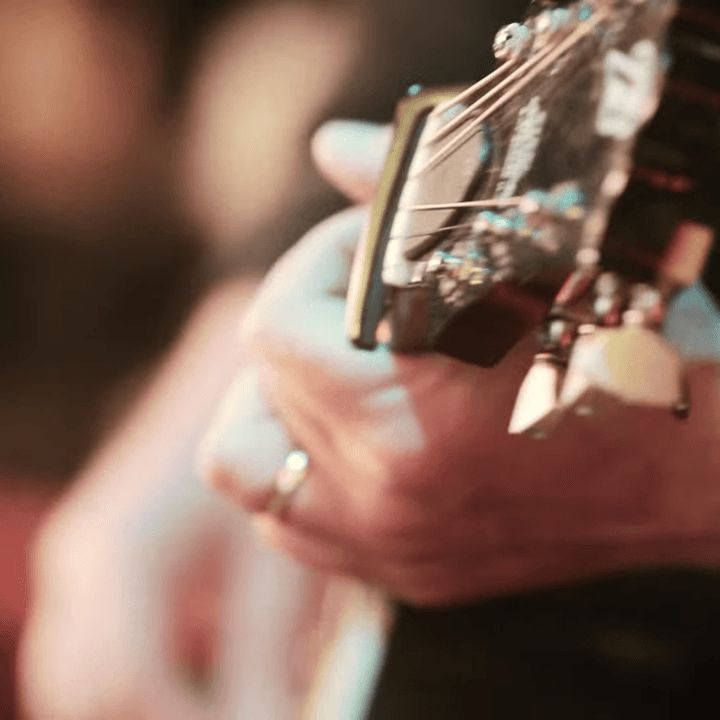 the audiophile son volt guitar