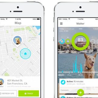 Whistle GPS pet tracker