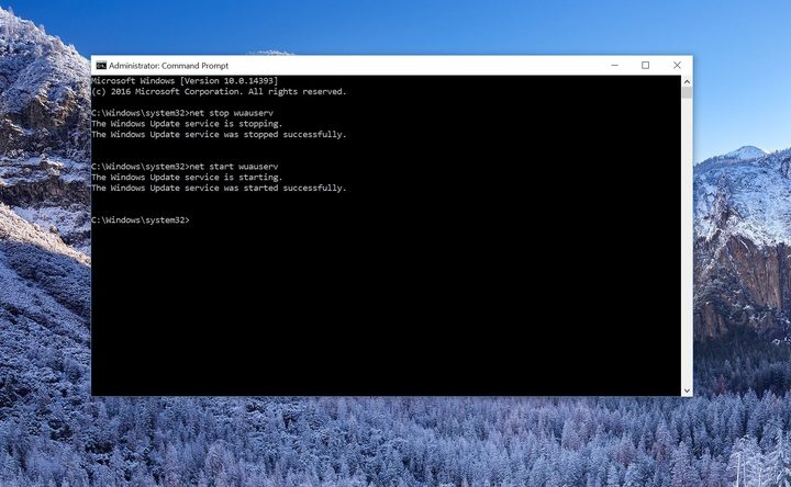 Command prompt windows