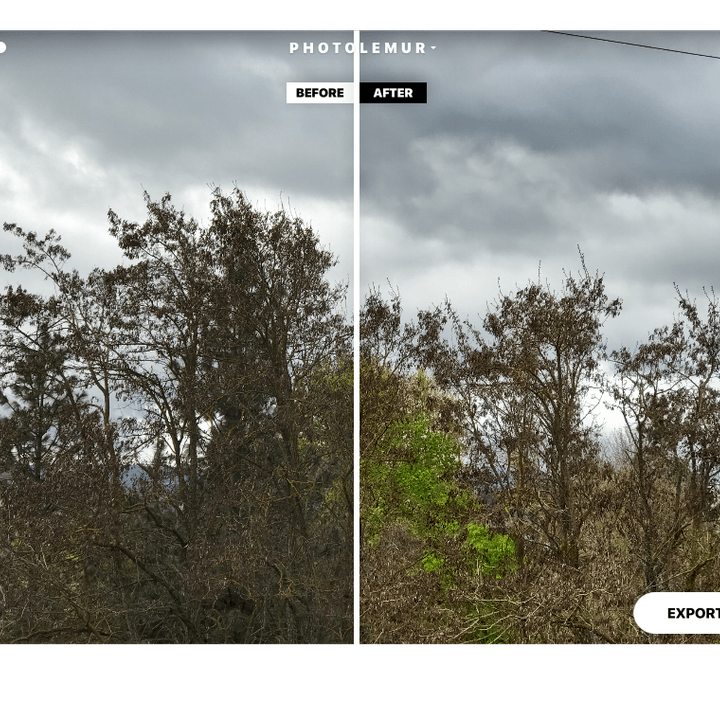 photolemur new version ai magic windows screen shot 2017 04 27 at 9 22 25 am
