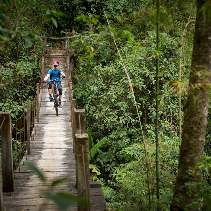 gravity logic bike park feature 2