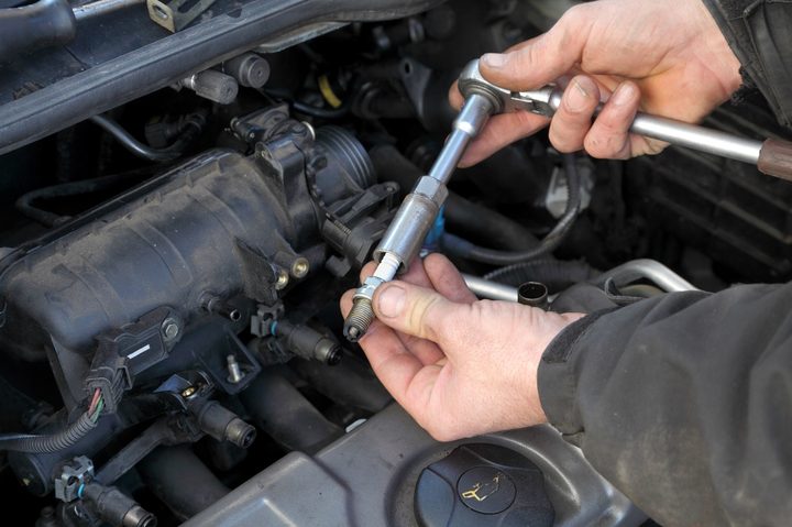 Spark plug socket