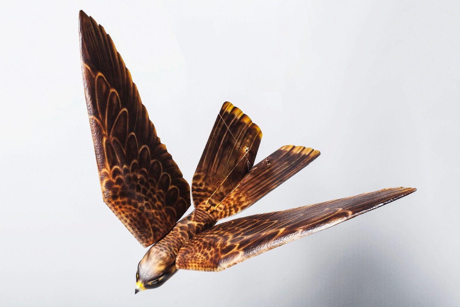 elon musk ridiculously fast sled cfs  robird brown 1