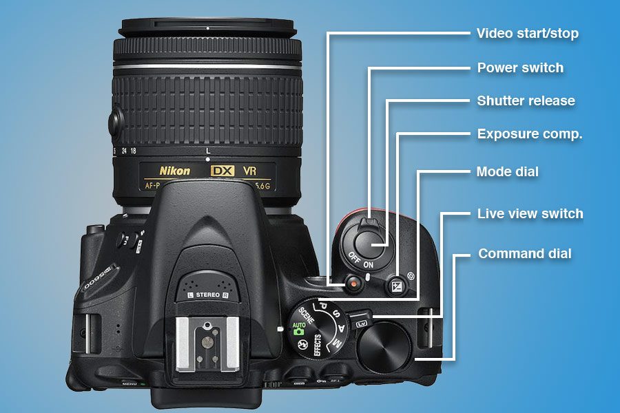 Basic Lens Control What does this button do? A quick guide to understanding your camera's ...