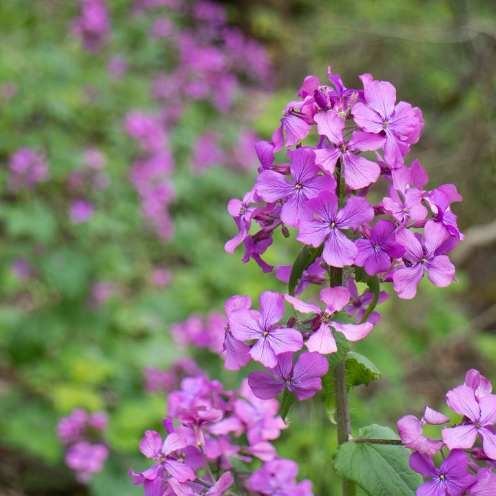 canon eos m6 review sample 2