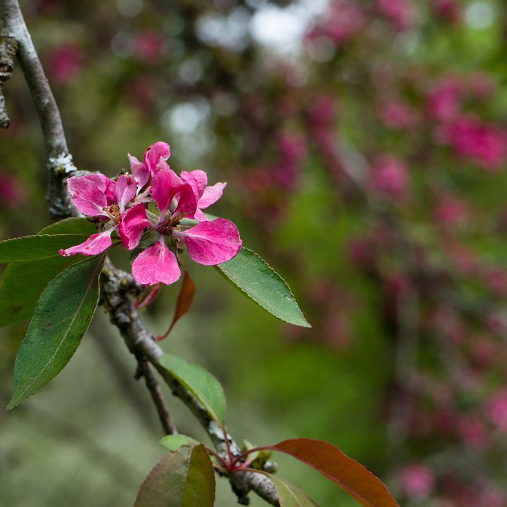 canon eos m6 review sample 8