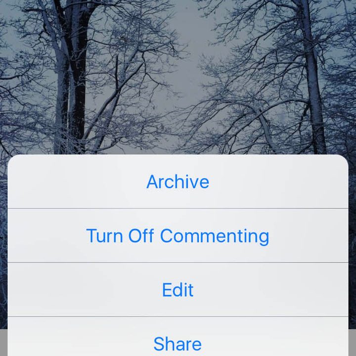 instagram tests archives img 2503 copy