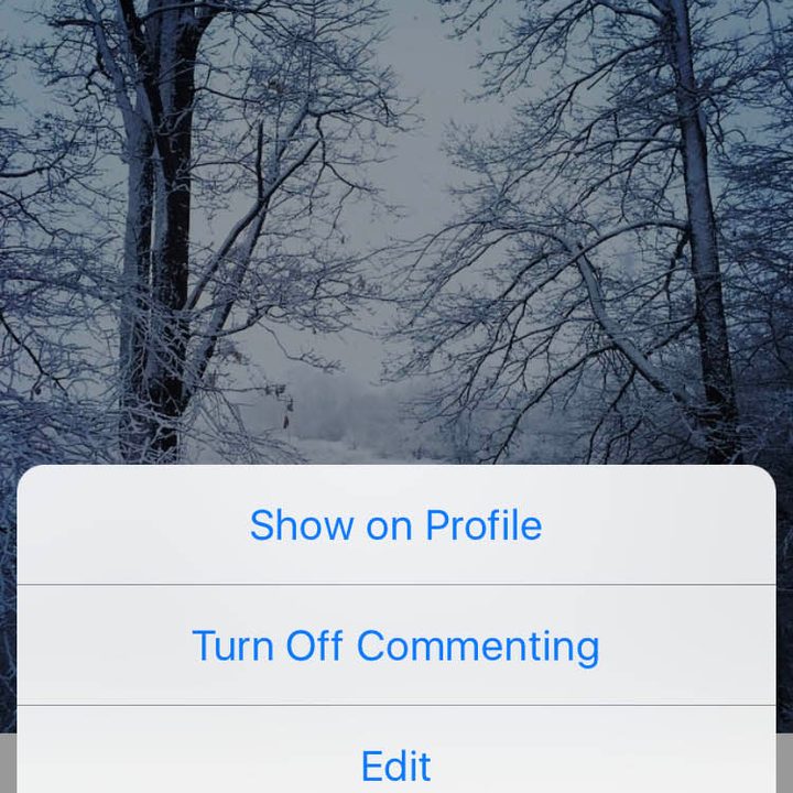 instagram tests archives img 2507 copy