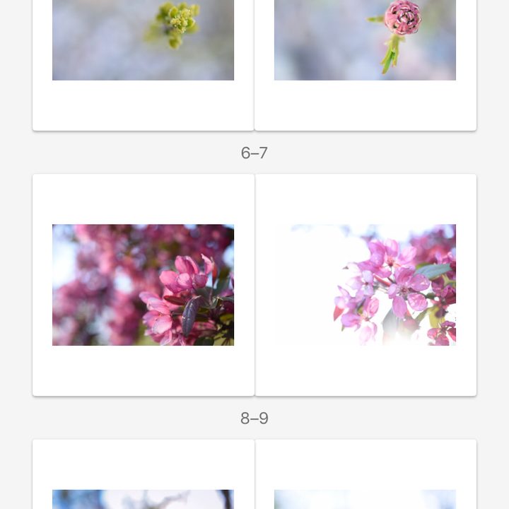 google photos books arrive img 2764