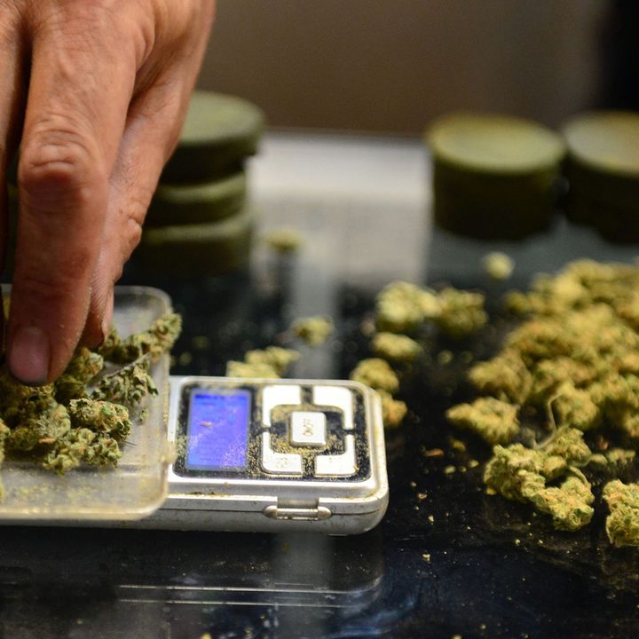 how cannabis testing works marijuana pesticidetesting head2