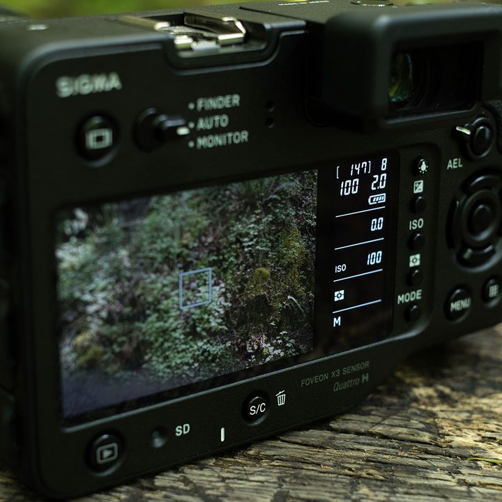 Sigma SD Quattro H