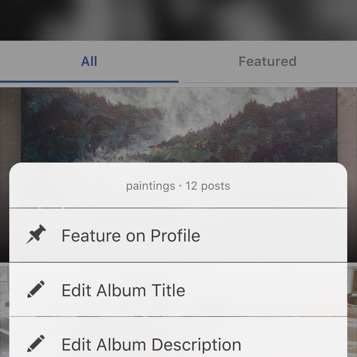 facebook adds new album features 3 menu