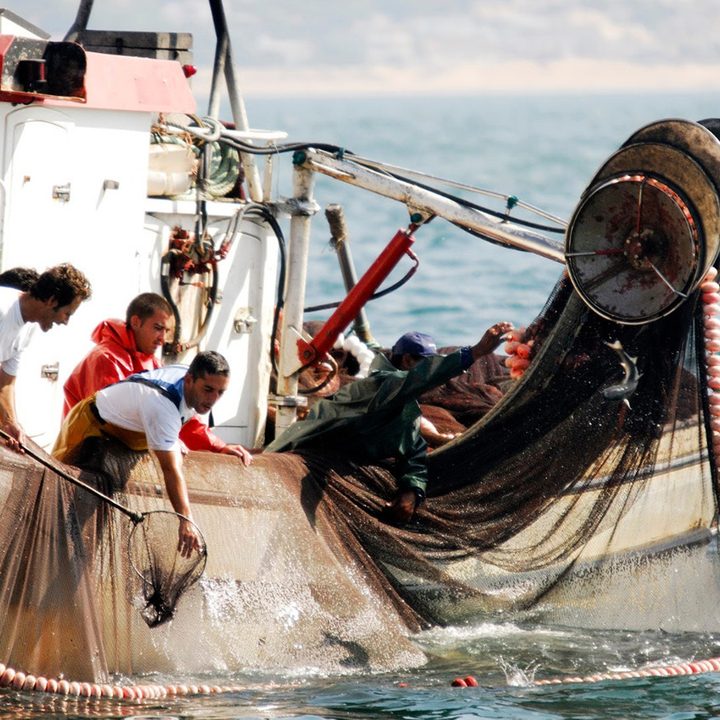 how artificial intelligence could save humanity ai the oceans