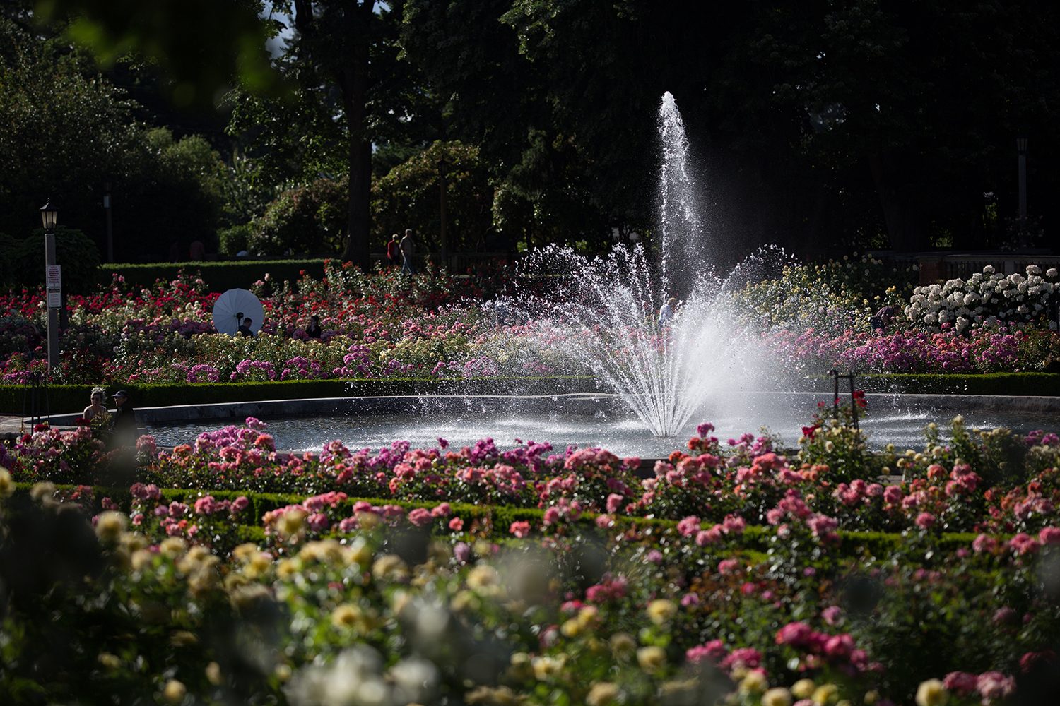 Sigma 135mm F1.8 Art Sample Fountain