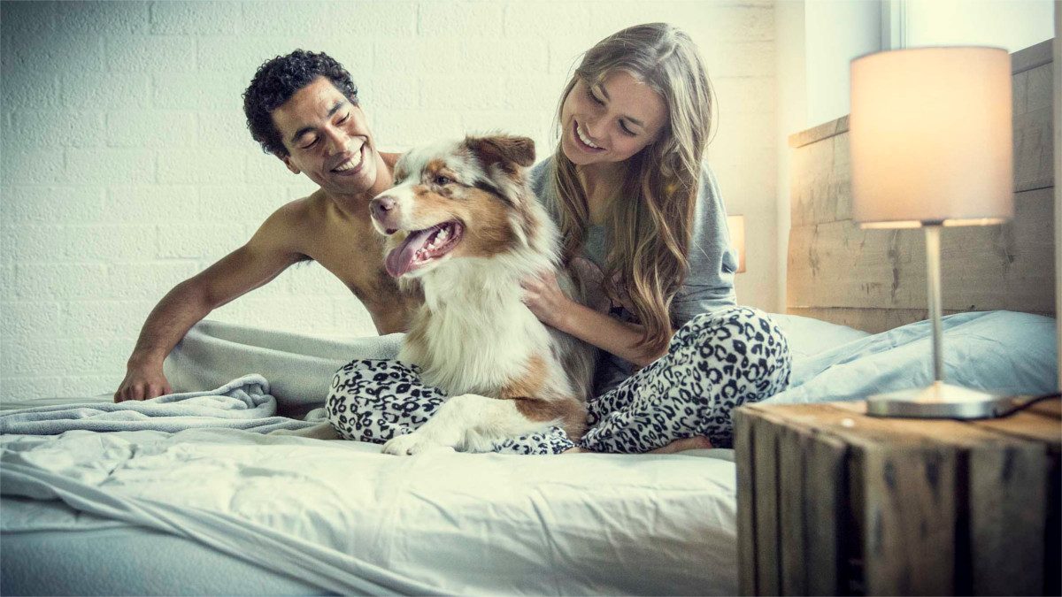 hongi modular mattress bed 5