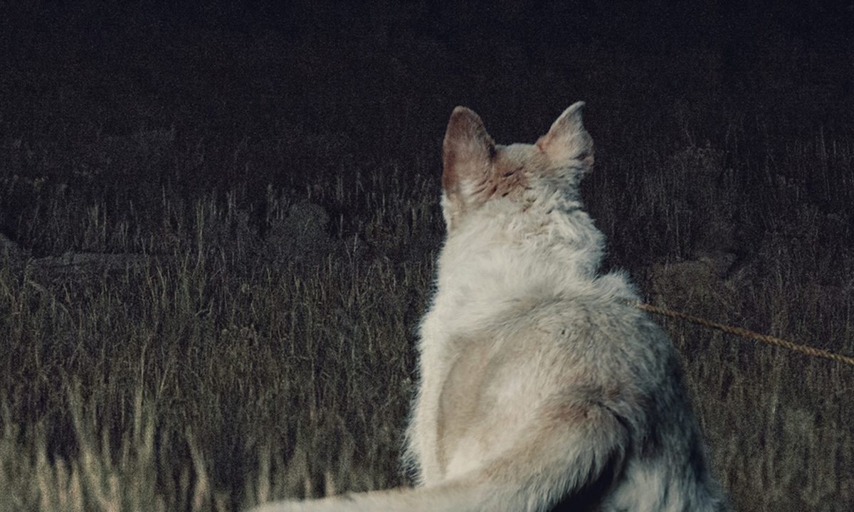 it comes at night movie review feat