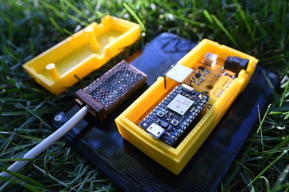 BuzzBox, honeybee hive sensor