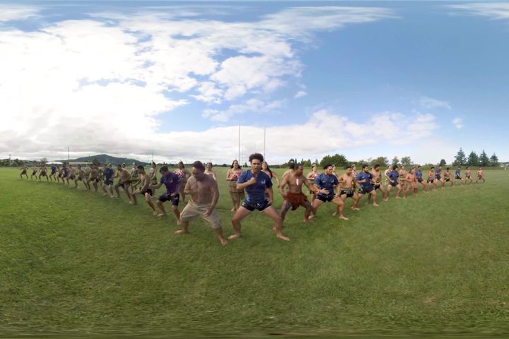 Finding Haka