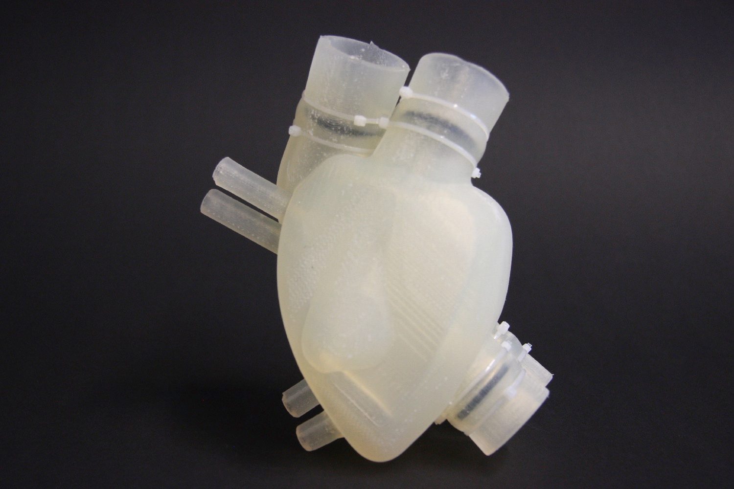 3d printed silicone heart img 8040