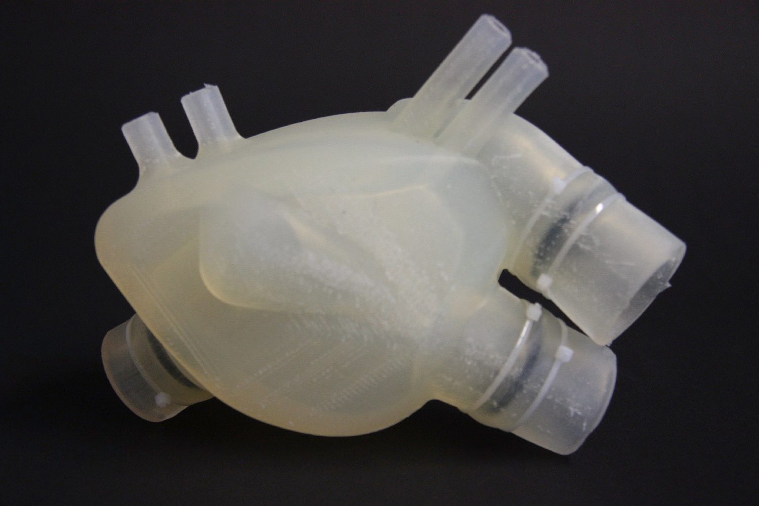 3d printed silicone heart img 8043
