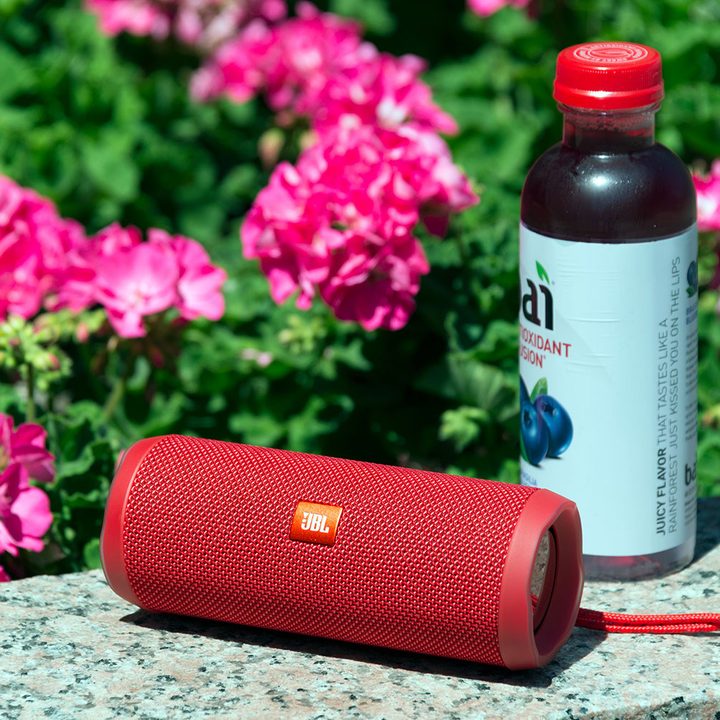JBL Flip 4 size scale