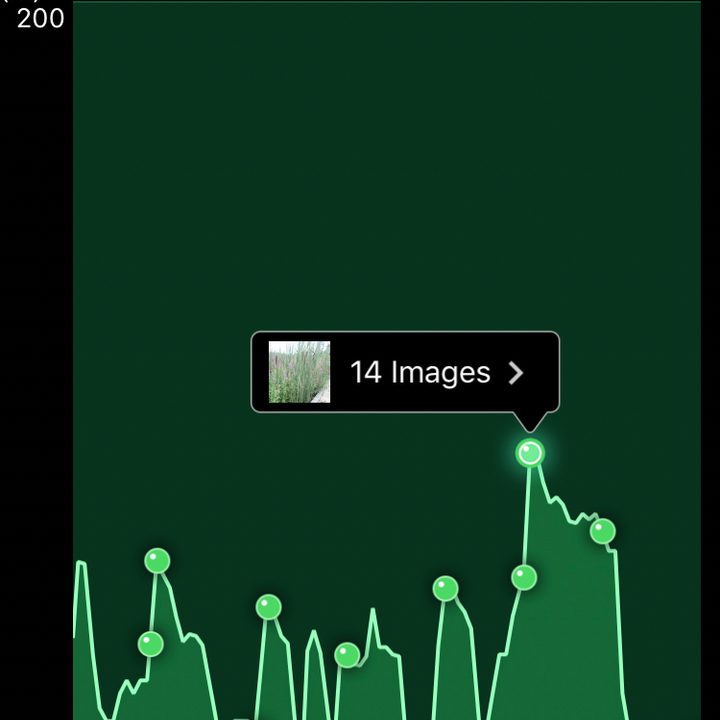 OI Track App Screenshot