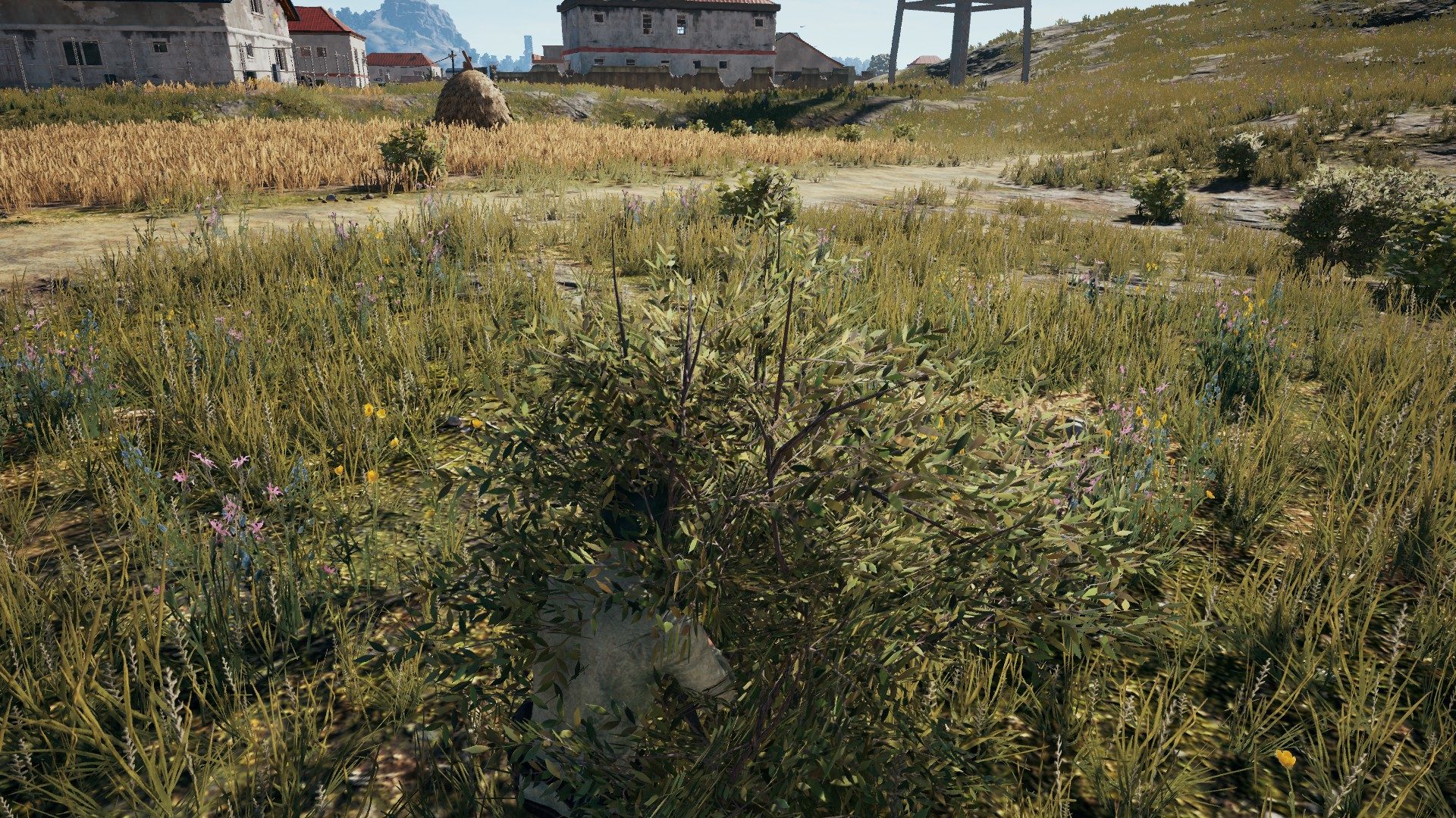 Playerunknown&rsquo;s Battlegrounds-Foliage-Ultra