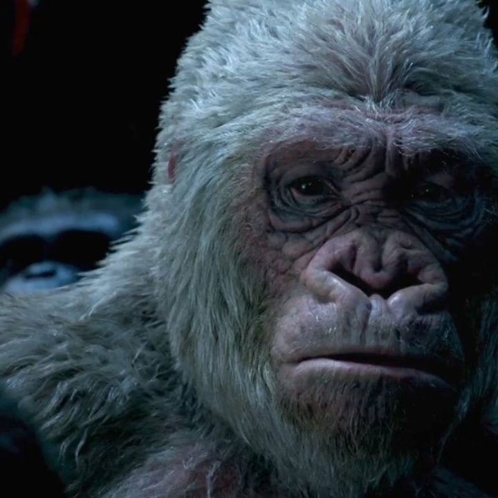 War for the Planet of the Apes