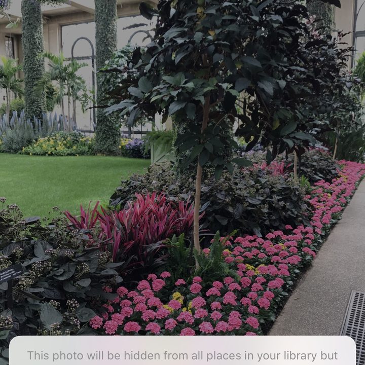 iOS 11 tips and tricks