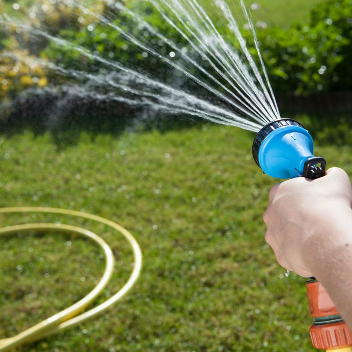 summer lawn care tips