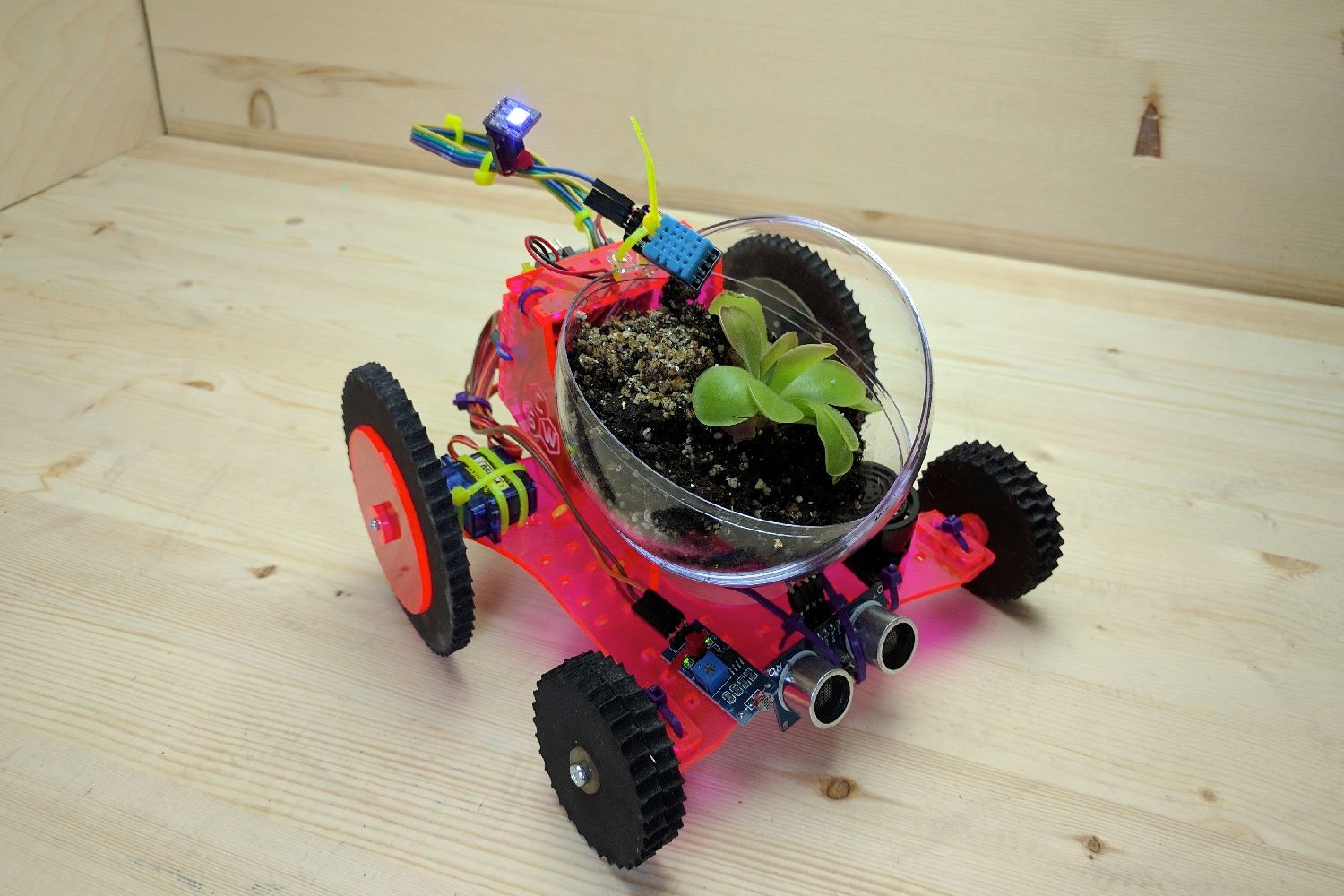 robot plantoid kickstarter img 20170804 104757