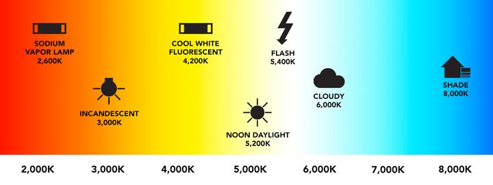how to set white balance