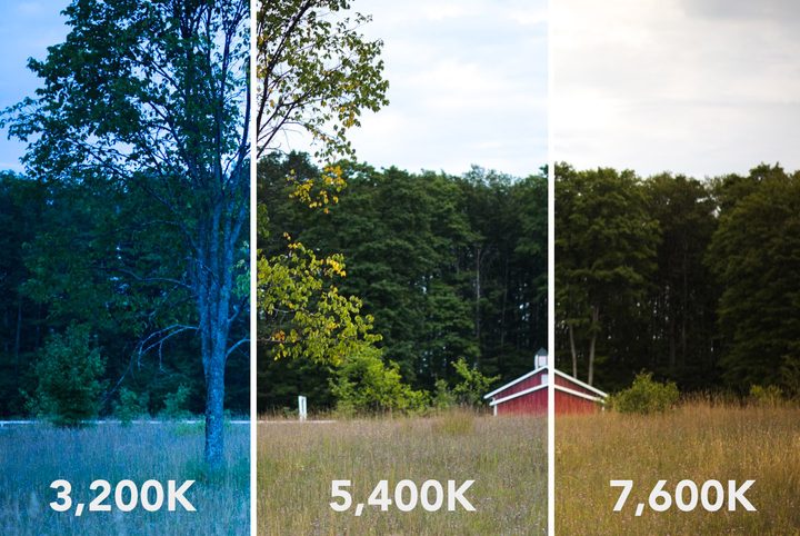 how to set white balance
