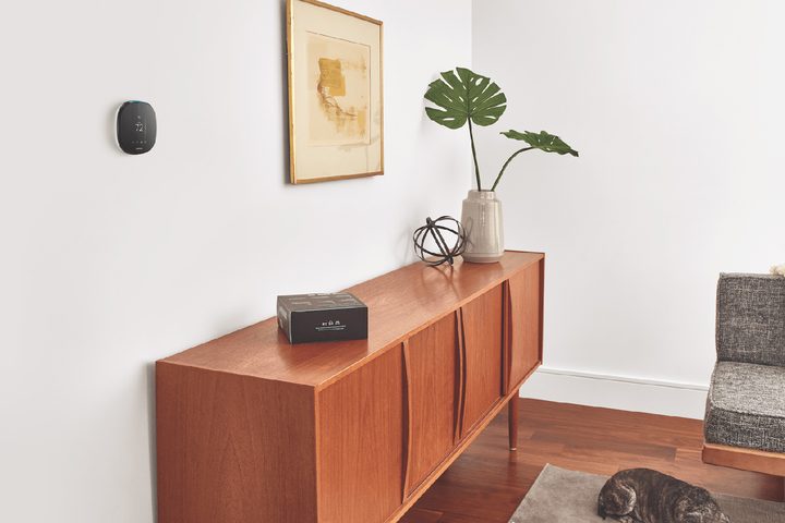 Ecobee4 smart thermostat dog