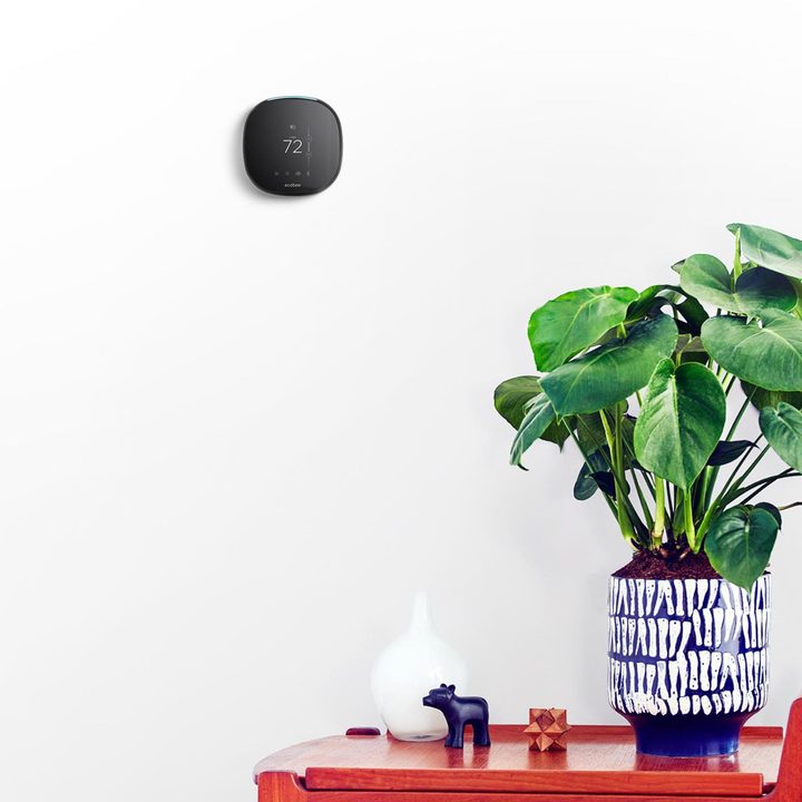 Ecobee4 smart thermostat by a plant.