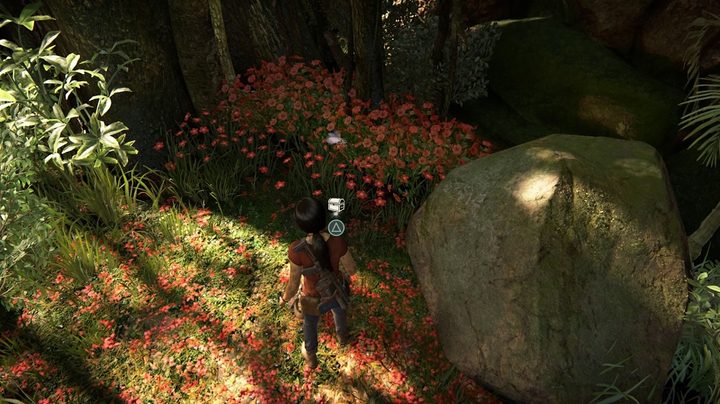 'Uncharted: The Lost Legacy' Collectibles Guide