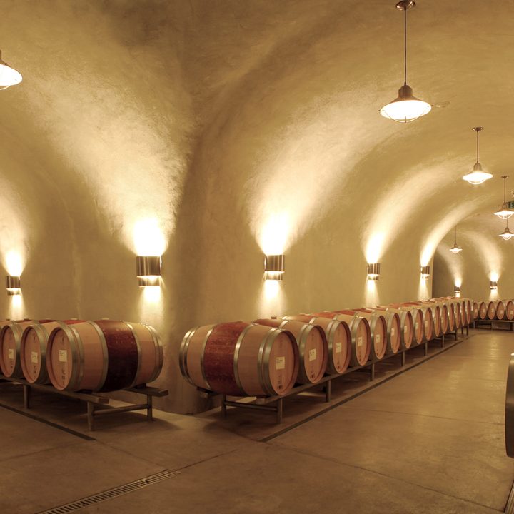 palmaz vineyards future of wine barrels