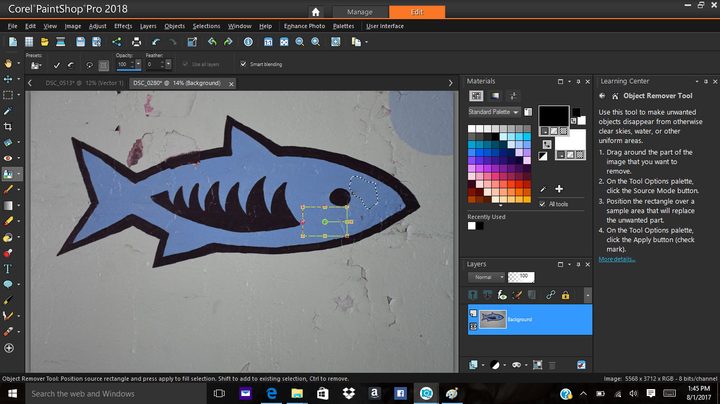 Corel PaintShop Pro 2018 review remove object tool