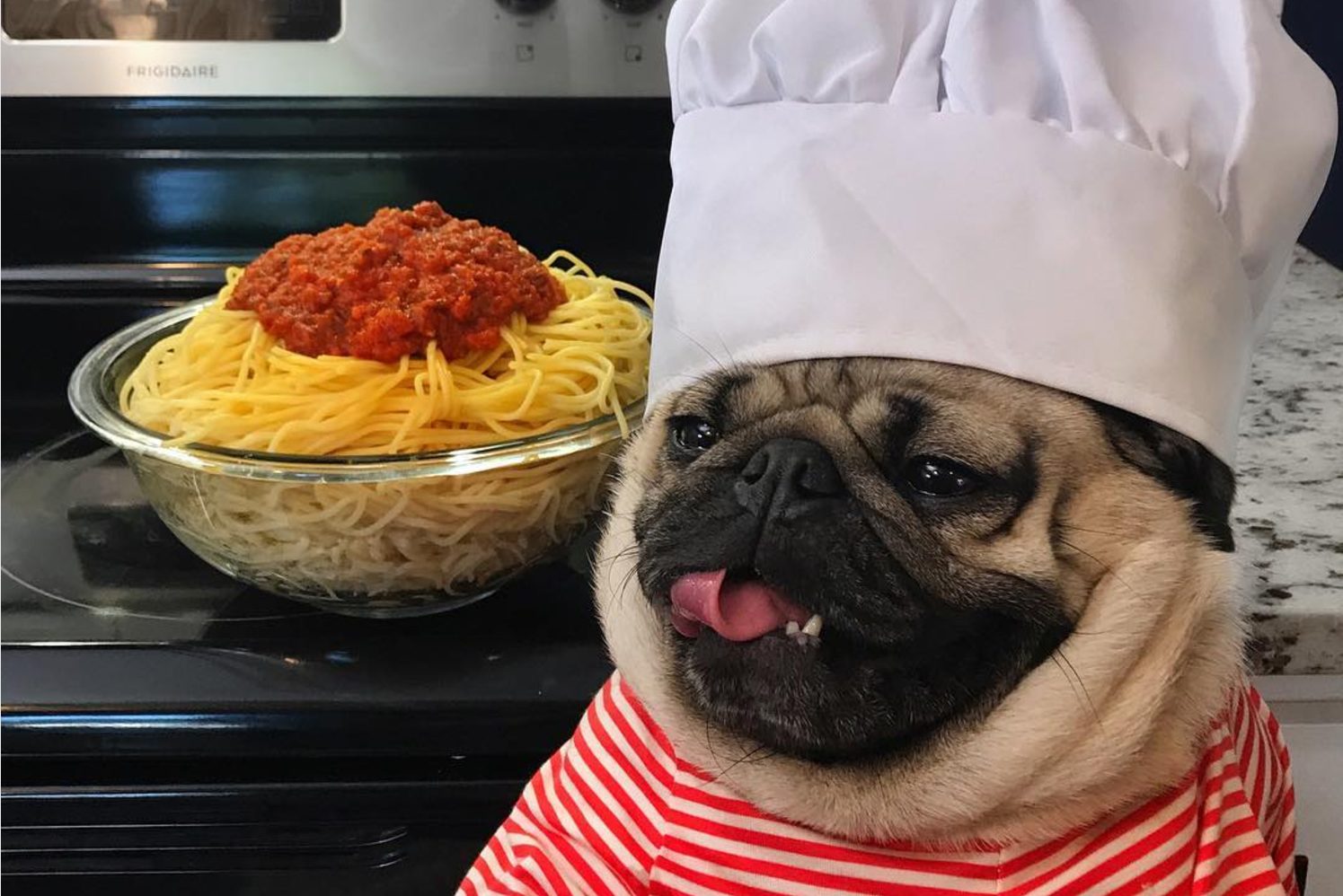 best instagram accounts doug 3