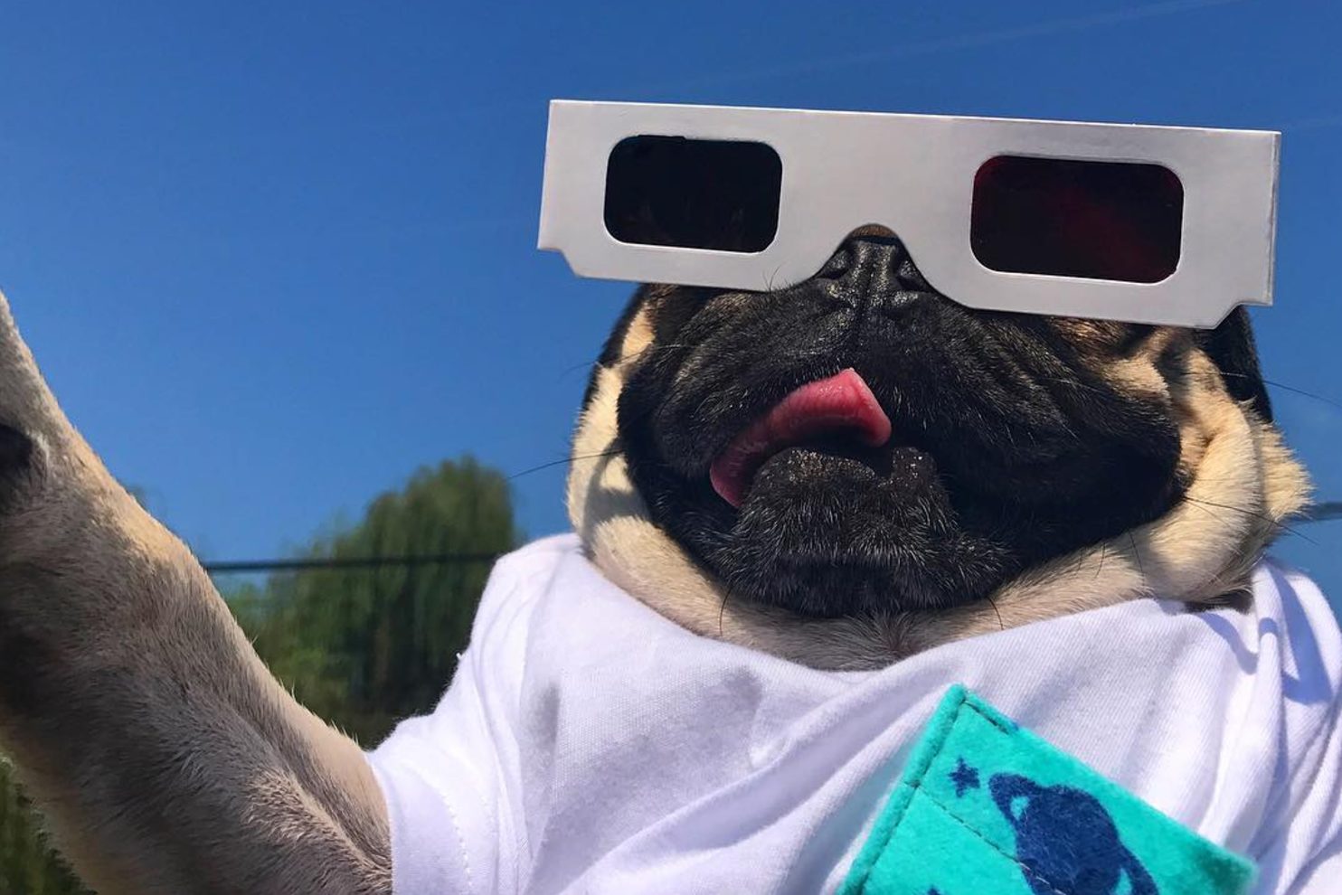 best instagram accounts doug 5