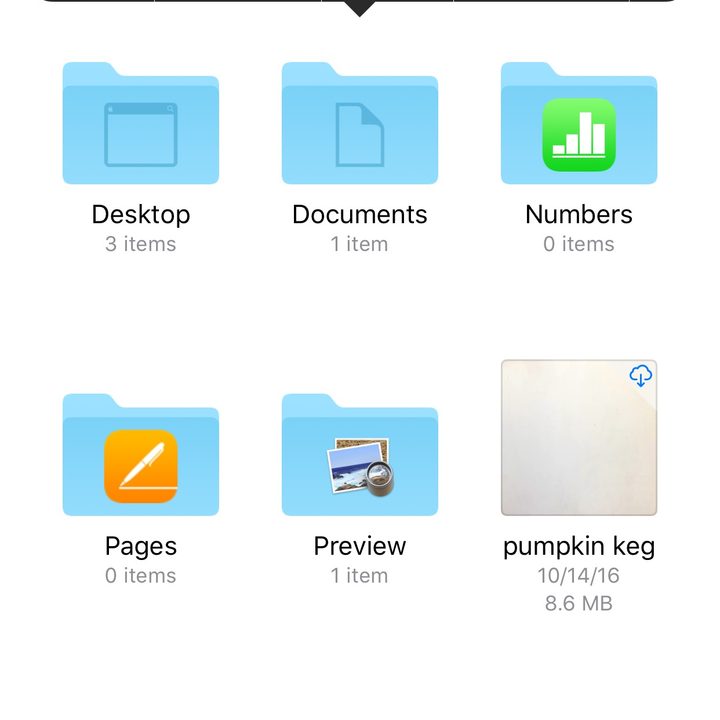 files ios 11 app attack