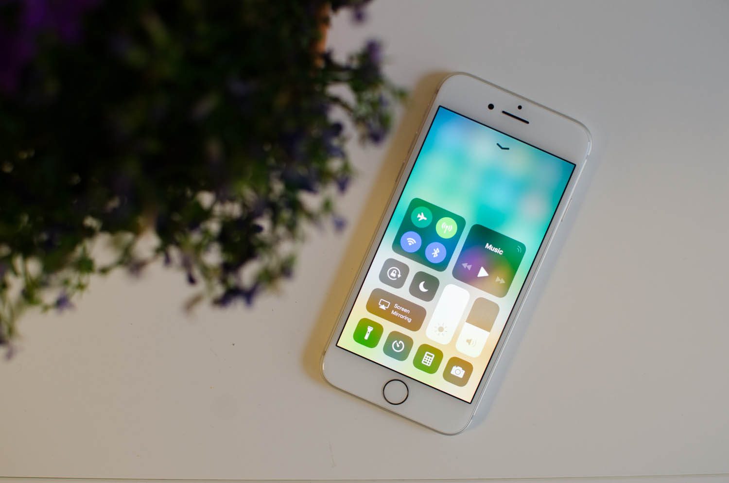 Apple iPhone 8 Display