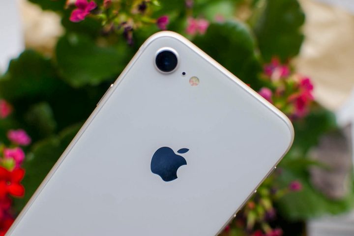 Apple iPhone 8 review flowers