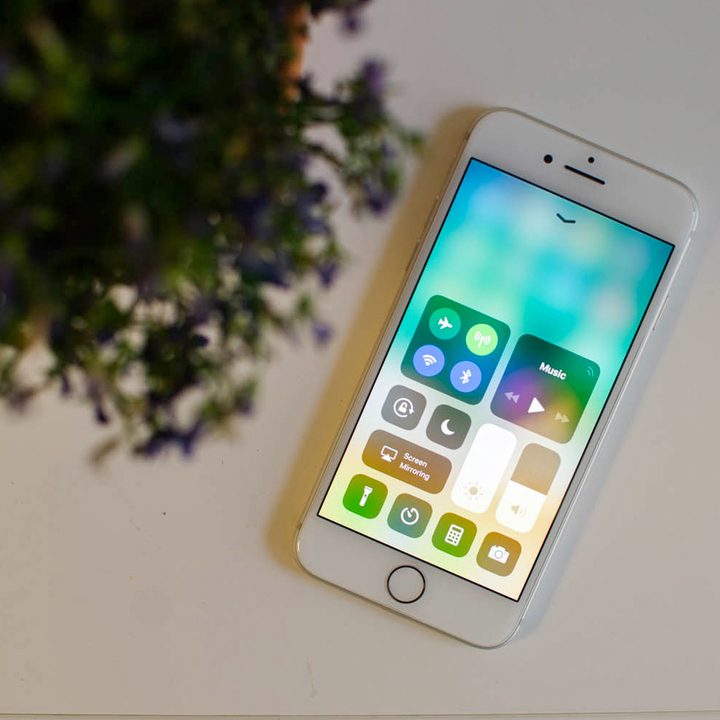 Apple iPhone 8 review plant
