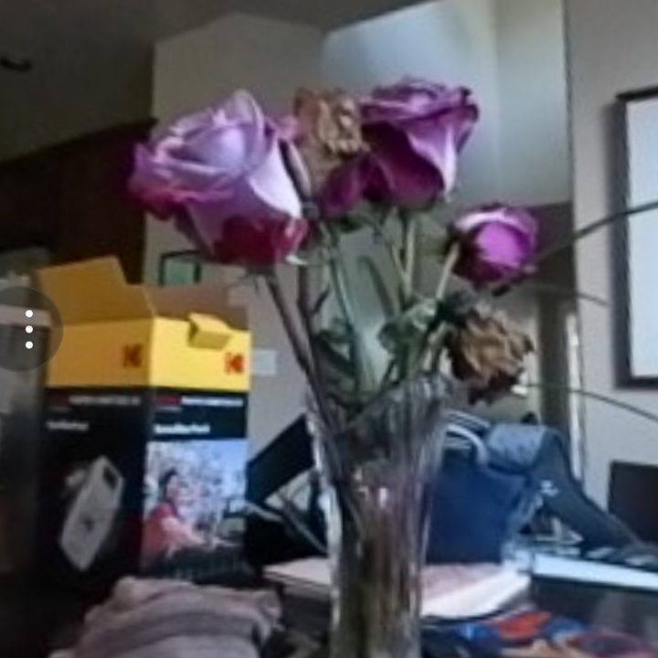 Kodak Pixpro Orbit360 4K camera app flowers