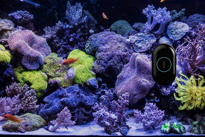 new crowdfunding projects MAOI aquarium robot